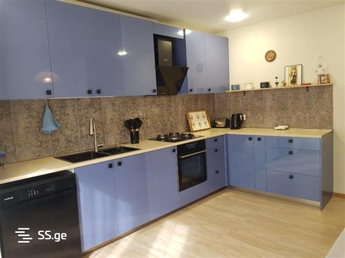 5 Room Private House For Rent. Nadzaladevi view 2