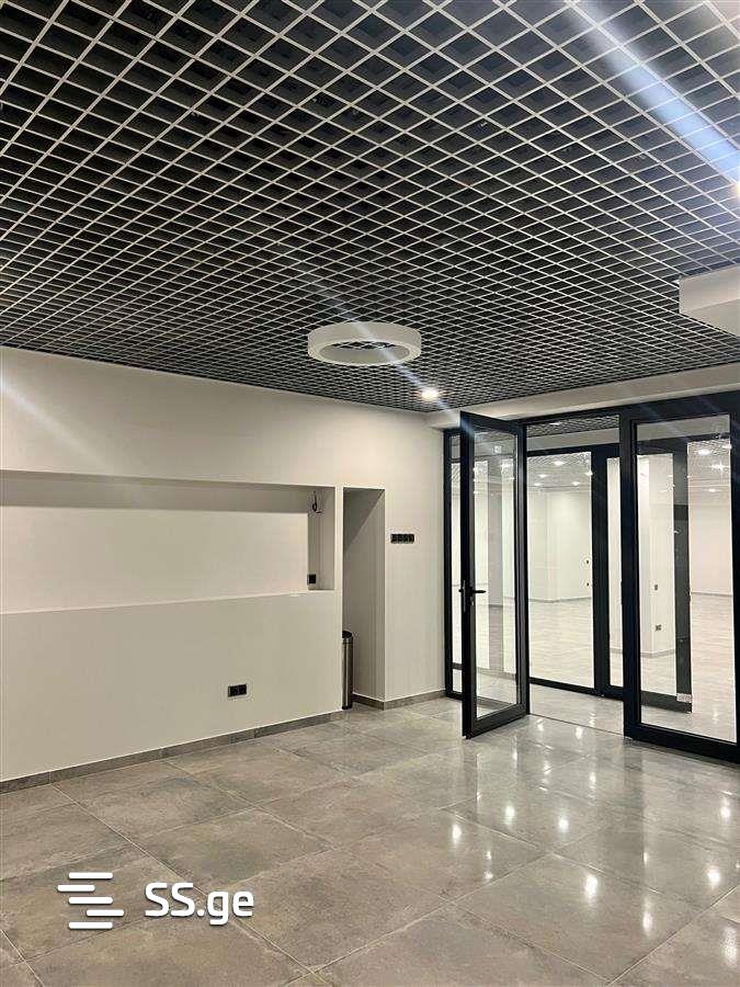Commercial Real Estate For Rent. Avlabari view 5