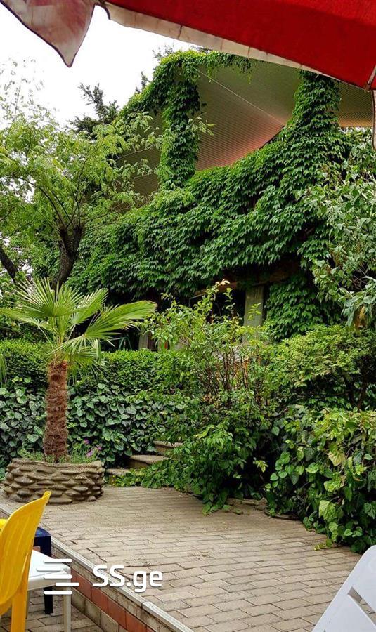 5 Room Private House For Rent. Nadzaladevi view 10