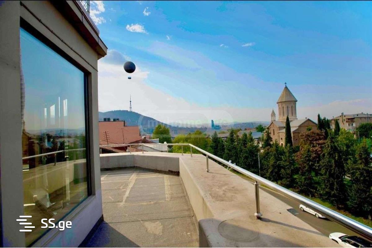 Commercial Real Estate For Rent. Avlabari view 7