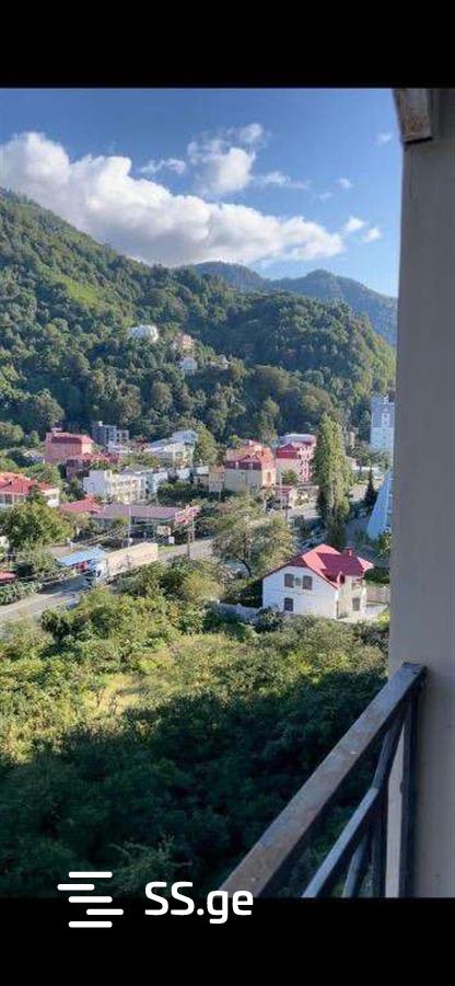 2 Room Flat For Rent. Gonio view 12