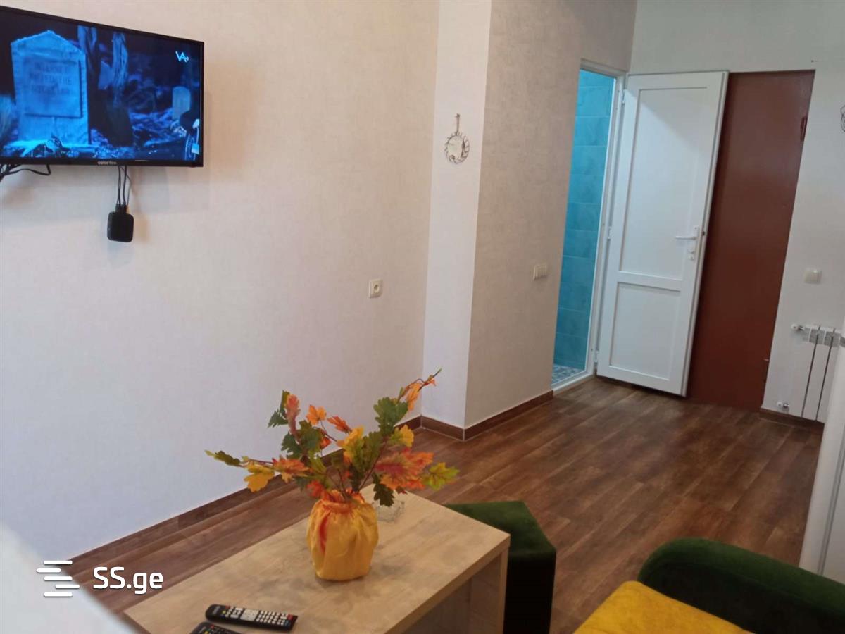1 Room Flat Daily Rent. Gldani view 9