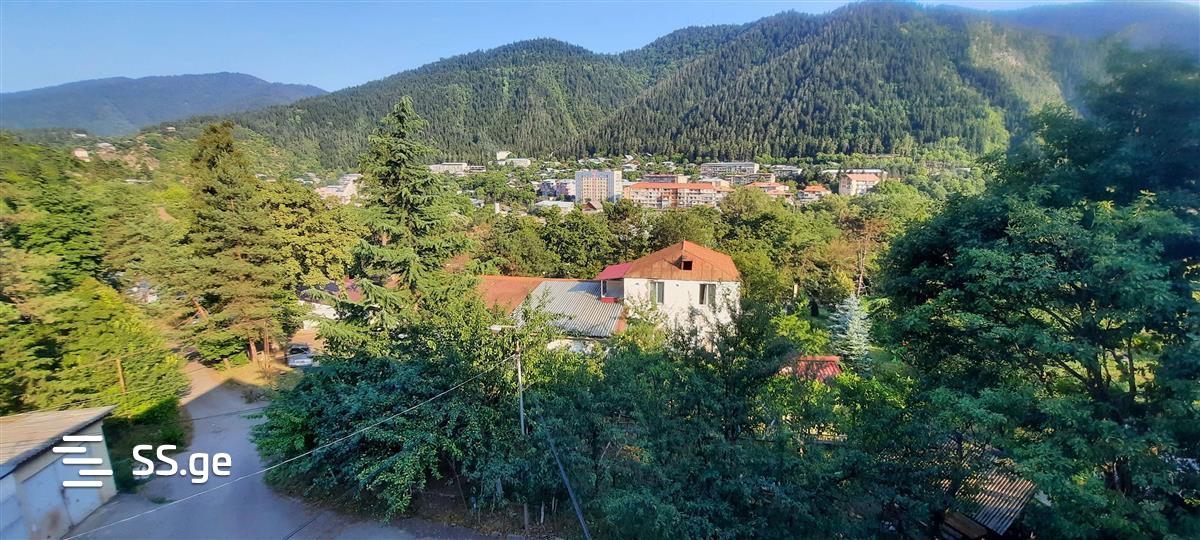 3-Room Apartment For Rent In Borjomi, Meskheti St, 23a view 24