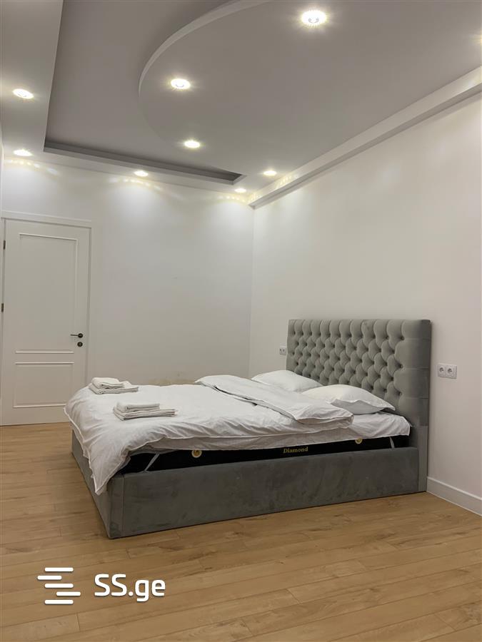 2 room Flat Daily rent. Isani - Widok 5