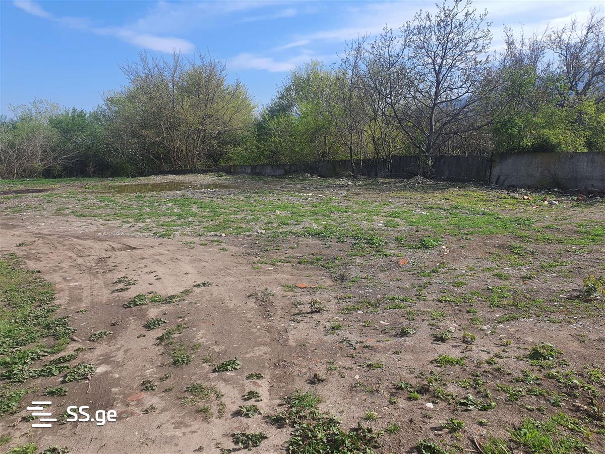 Store-Industrial Property For Rent. Gurjaani view 8