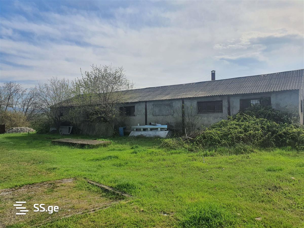 Store-Industrial Property For Rent. Gurjaani view 1