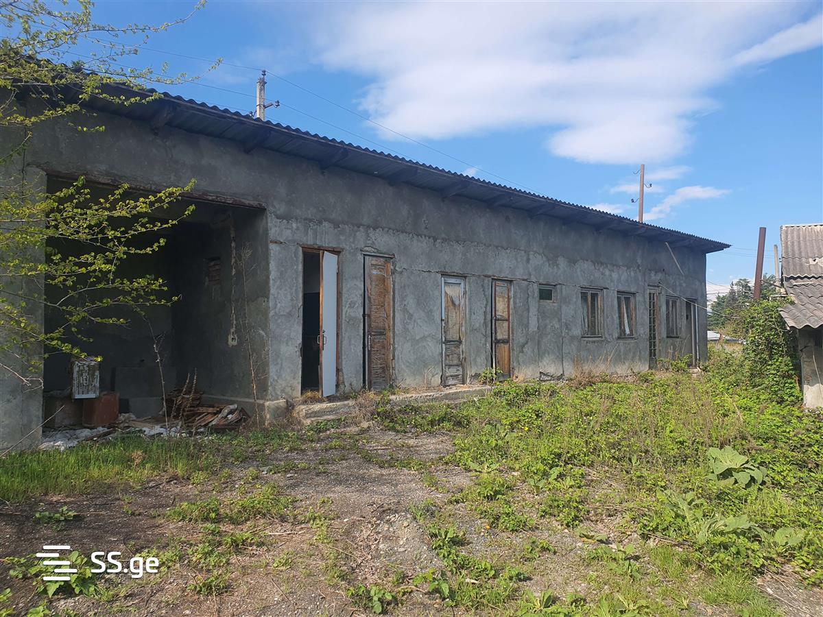 Store-Industrial Property For Rent. Gurjaani view 4
