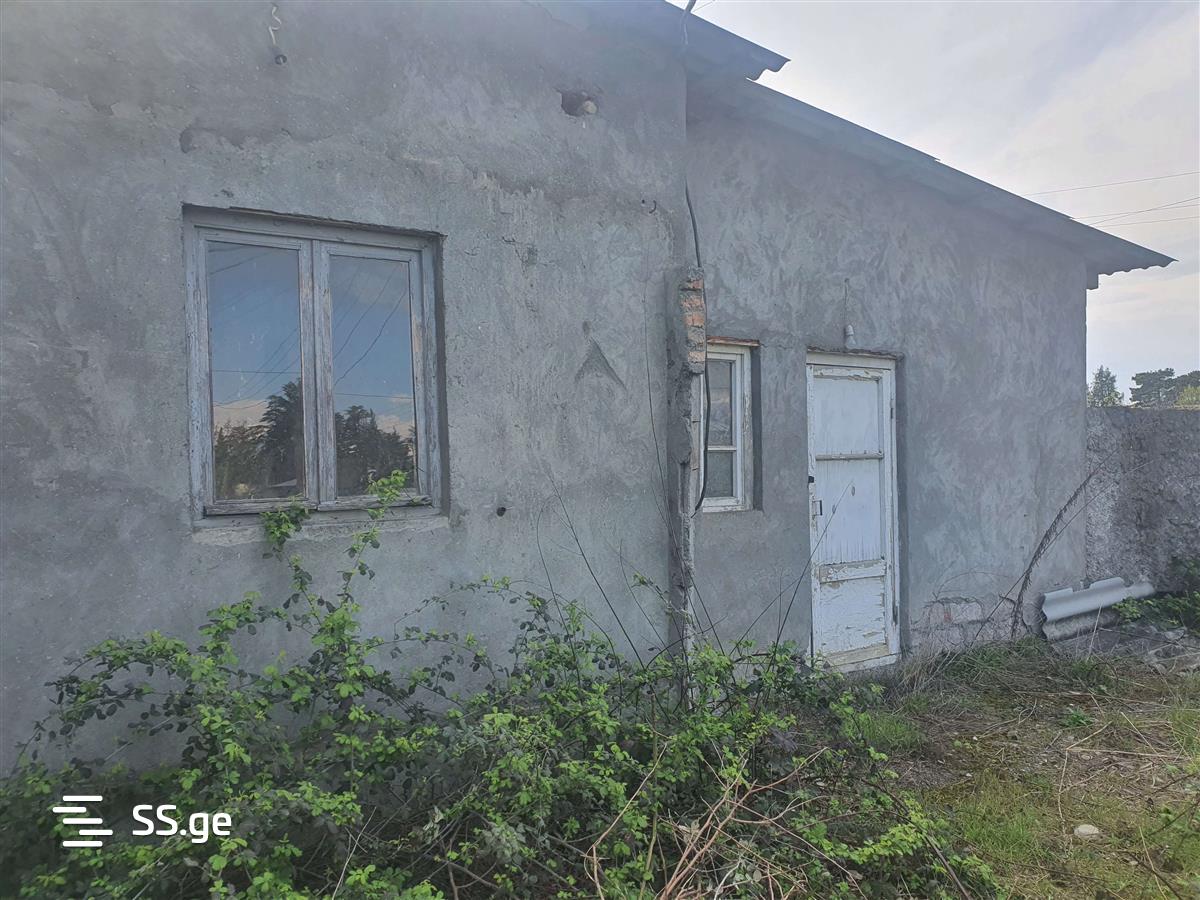 Store-Industrial Property For Rent. Gurjaani view 7