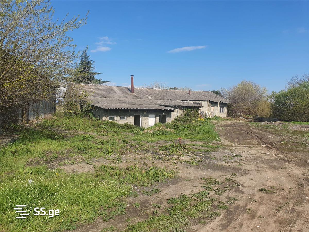 Store-Industrial Property For Rent. Gurjaani view 5