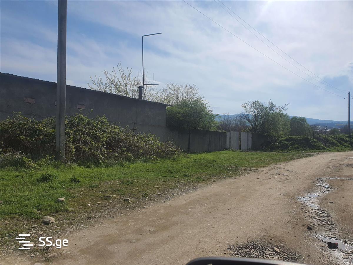 Store-Industrial Property For Rent. Gurjaani view 2