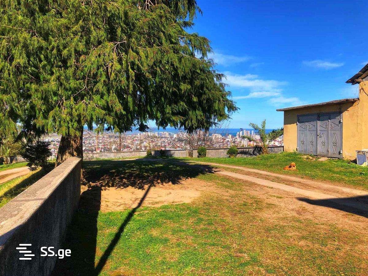 3 Room Summer Cottage Daily Rent. Batumi view 4