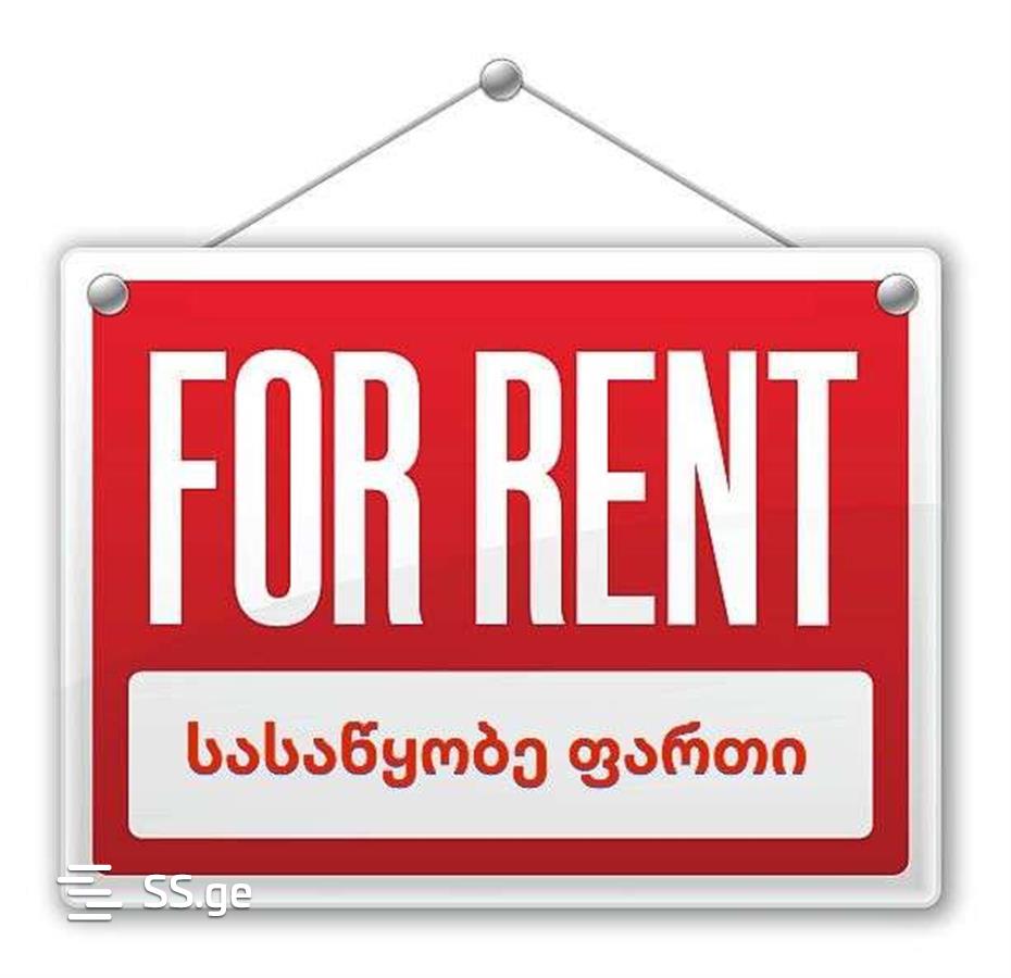 Store/Industrial Property For Rent. Isani view 1