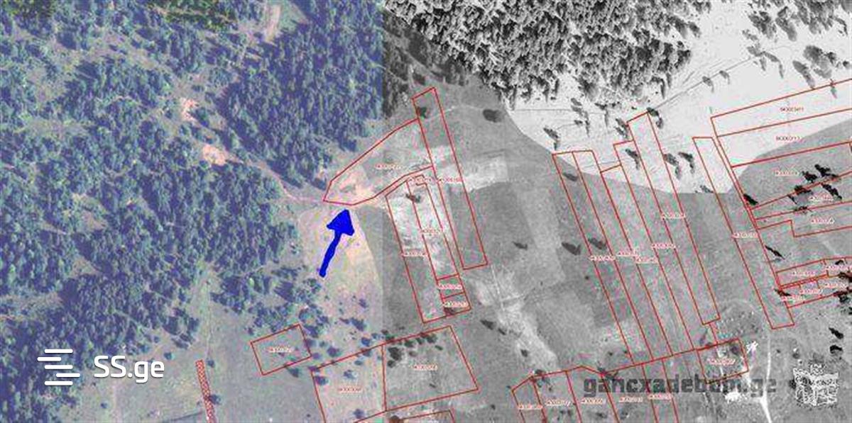 Продажа Земля в Бакуриани view 5