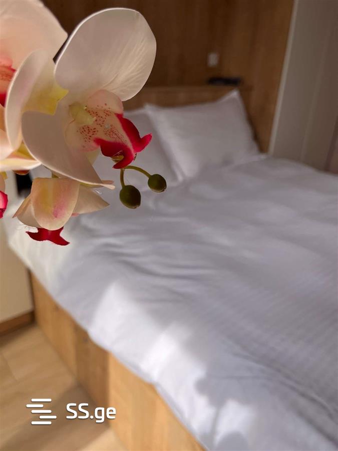 3 room Flat Daily rent. Ortachala, Tbilisi