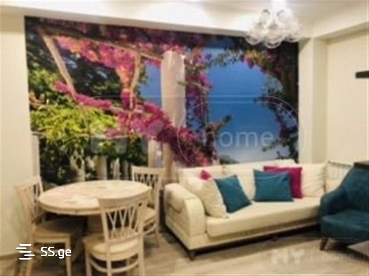 2 Room Flat Daily Rent. Gldani view 3