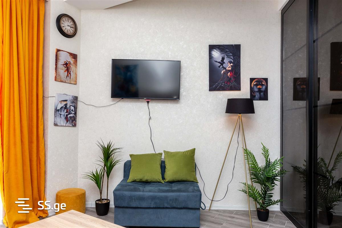 2 Room Flat Daily Rent. Gldani view 4