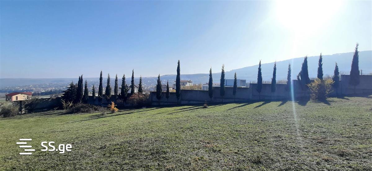 Land For Sale. Mtatsminda view 2