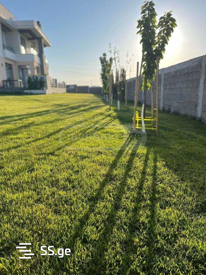 6 Room Private House For Sale view 5