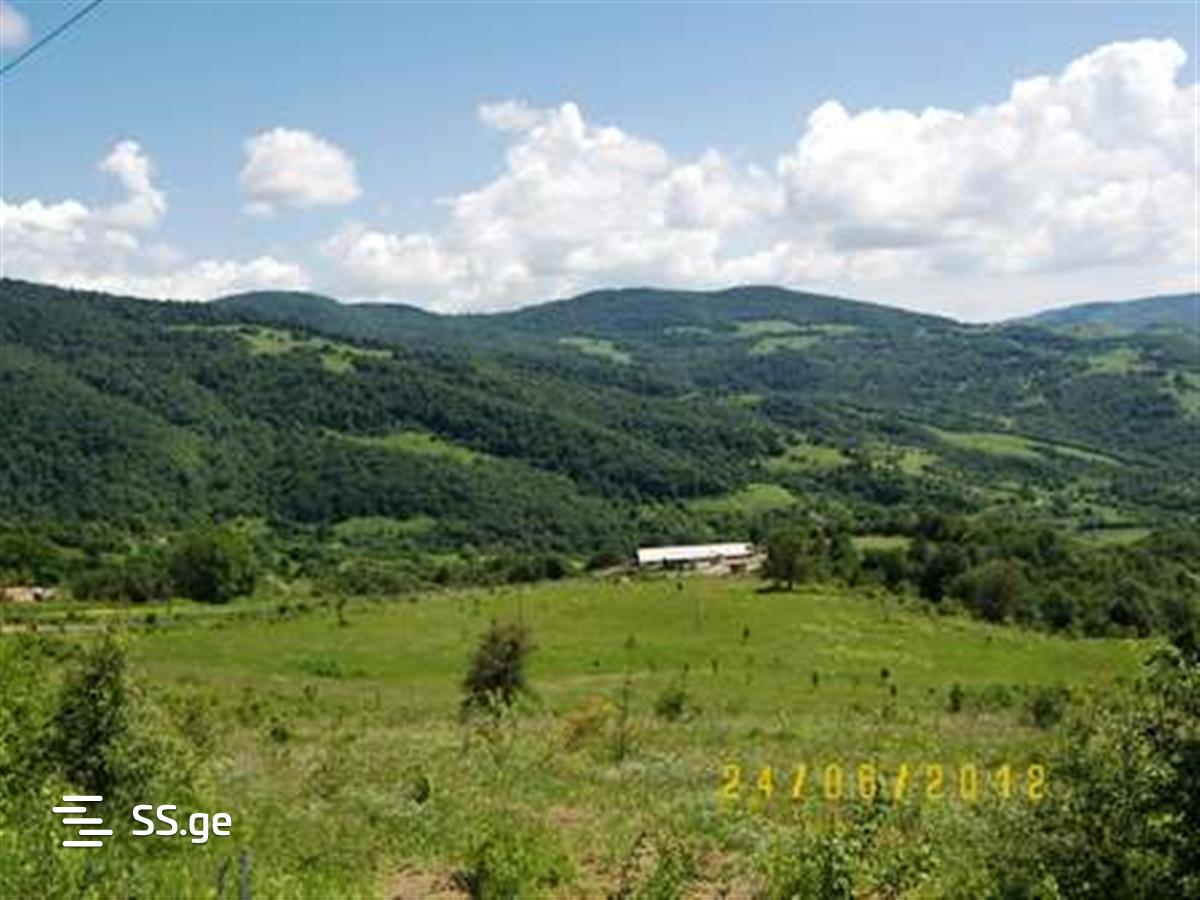 Land For Sale. Bulachauri view 4