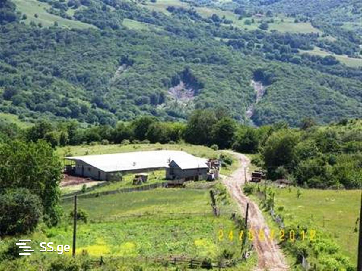 Land For Sale. Bulachauri view 2