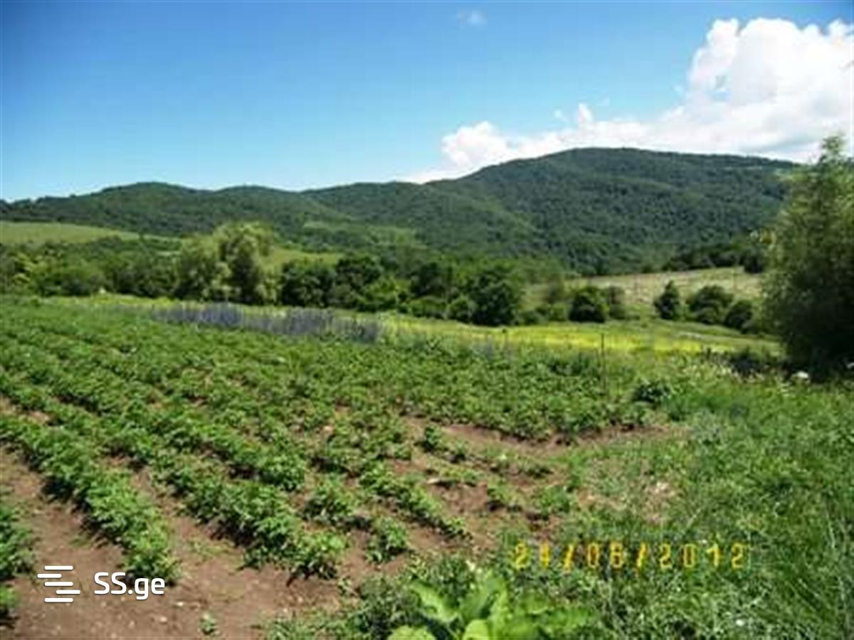 Land For Sale. Bulachauri view 1