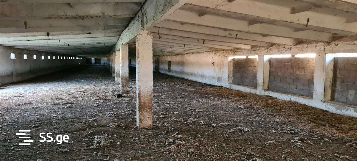 Store-Industrial Property For Rent. Gardabani view 9