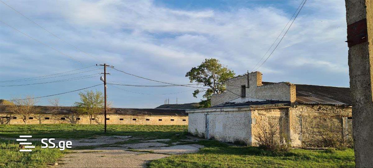 Store-Industrial Property For Rent. Gardabani view 2