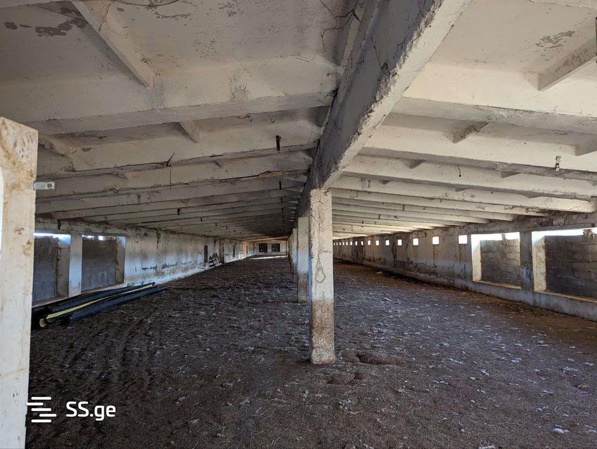 Store-Industrial Property For Rent. Gardabani view 8