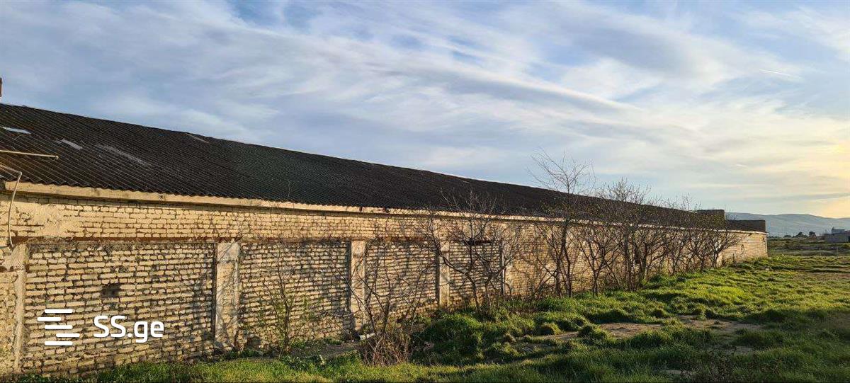 Store-Industrial Property For Rent. Gardabani view 5