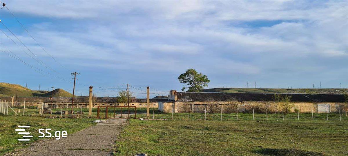 Store-Industrial Property For Rent. Gardabani view 10
