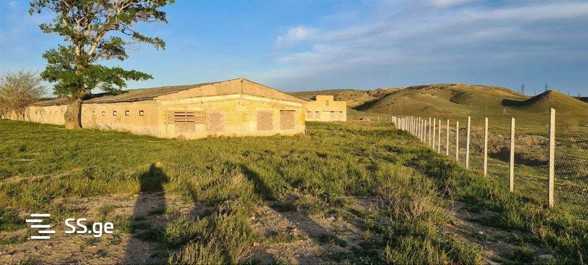Store-Industrial Property For Rent. Gardabani view 7