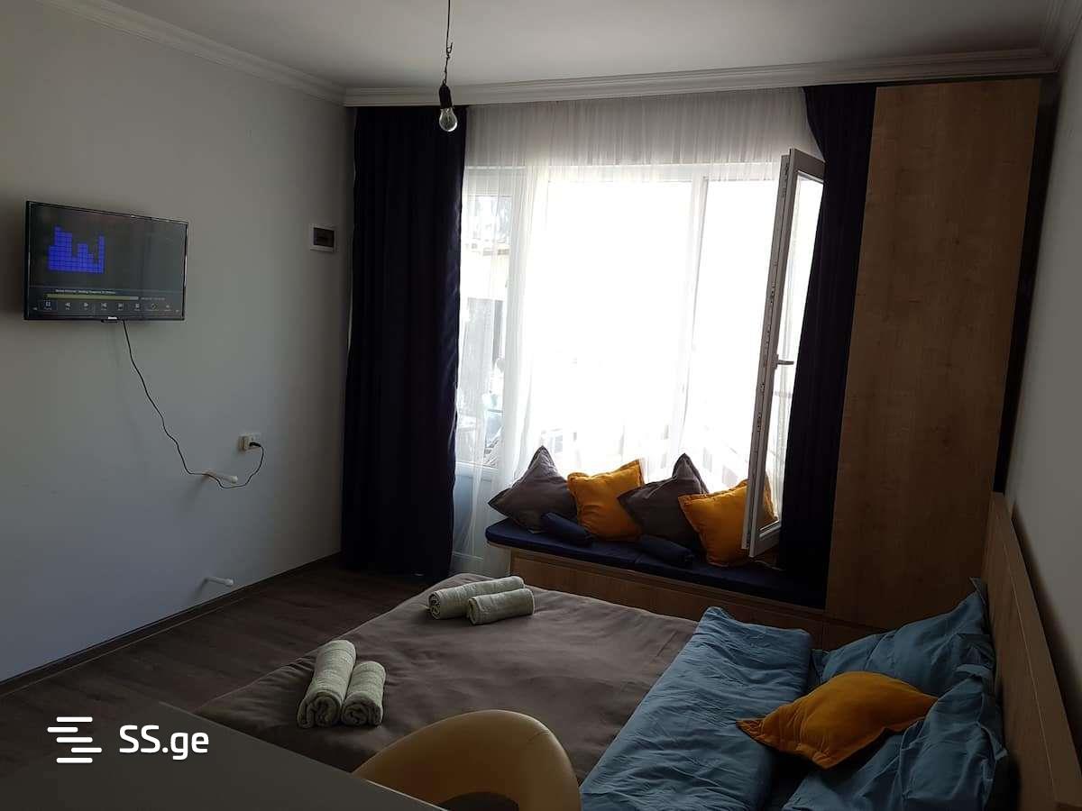 1 Room Private House Daily Rent. Borjomi view 5