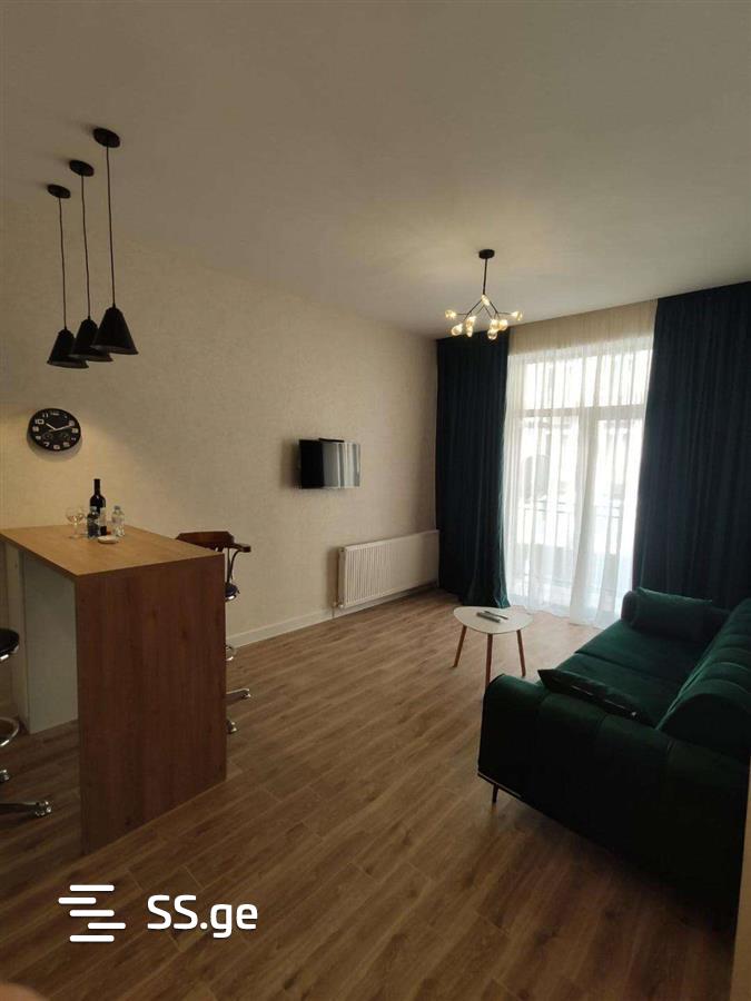 2 room Flat Daily rent. Isani - Widok 3