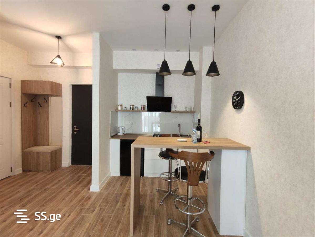 2 room Flat Daily rent. Isani - Widok 2