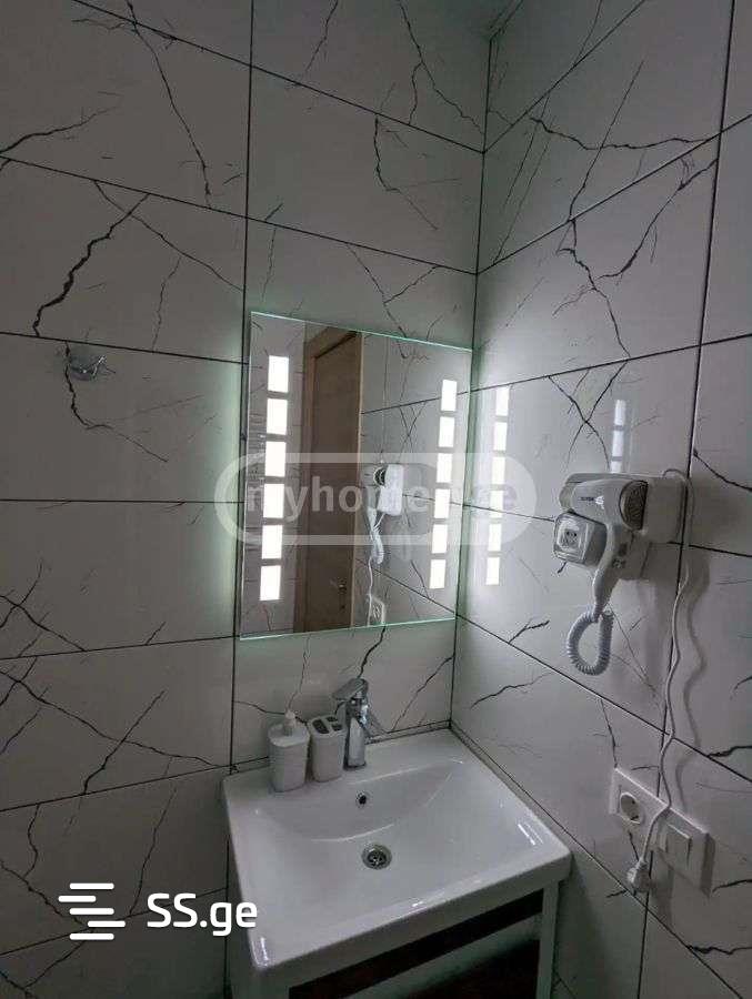 2 Room Flat Daily Rent. Nadzaladevi view 8