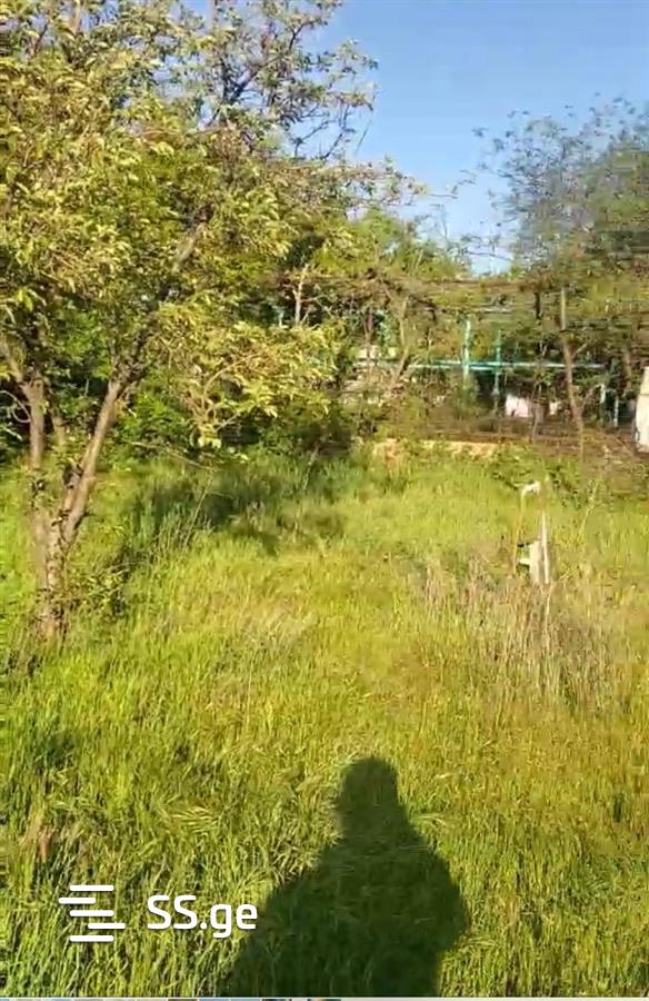 Land For Sale. Samgori view 7