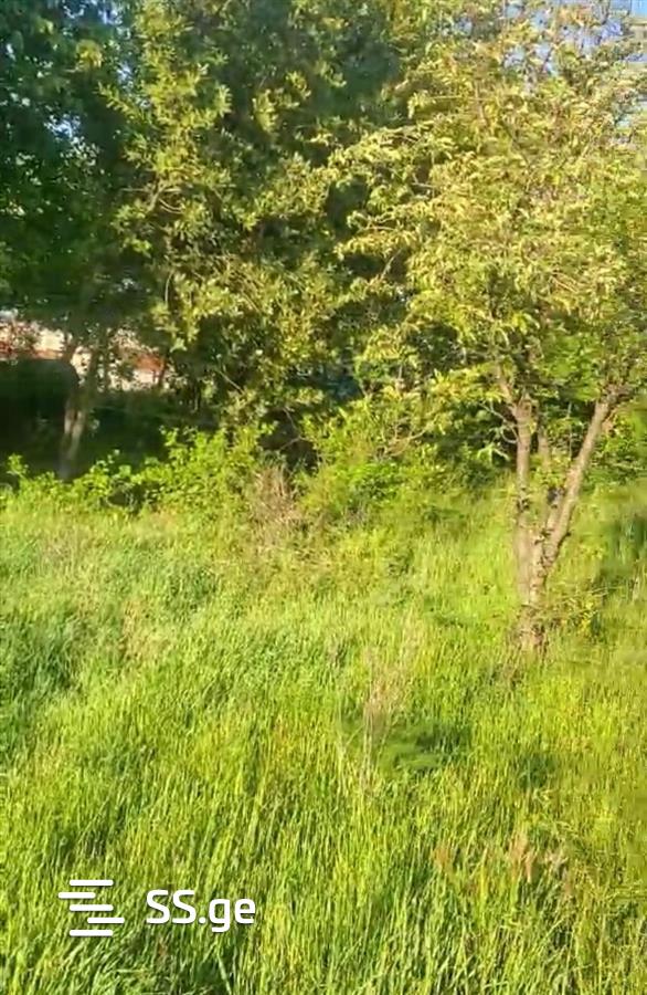 Land For Sale. Samgori view 3
