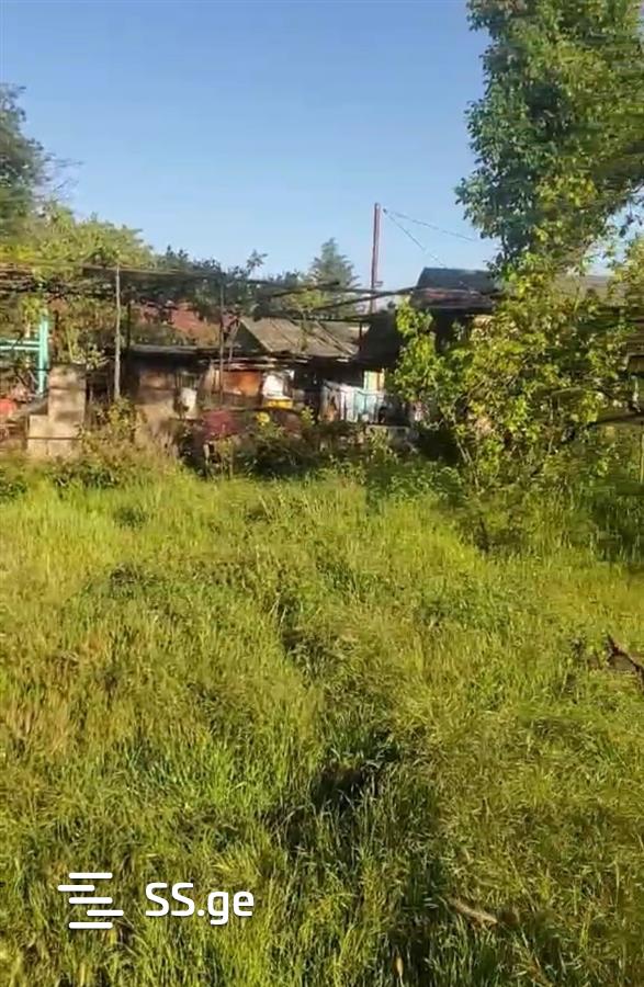 Land For Sale. Samgori view 5