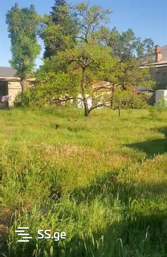 Land For Sale. Samgori view 2