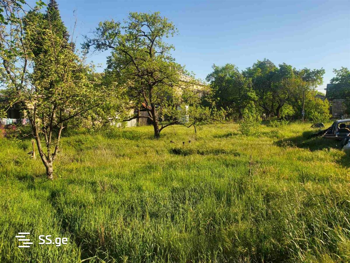 Land For Sale. Samgori view 4