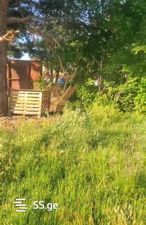 Land For Sale. Samgori view 8