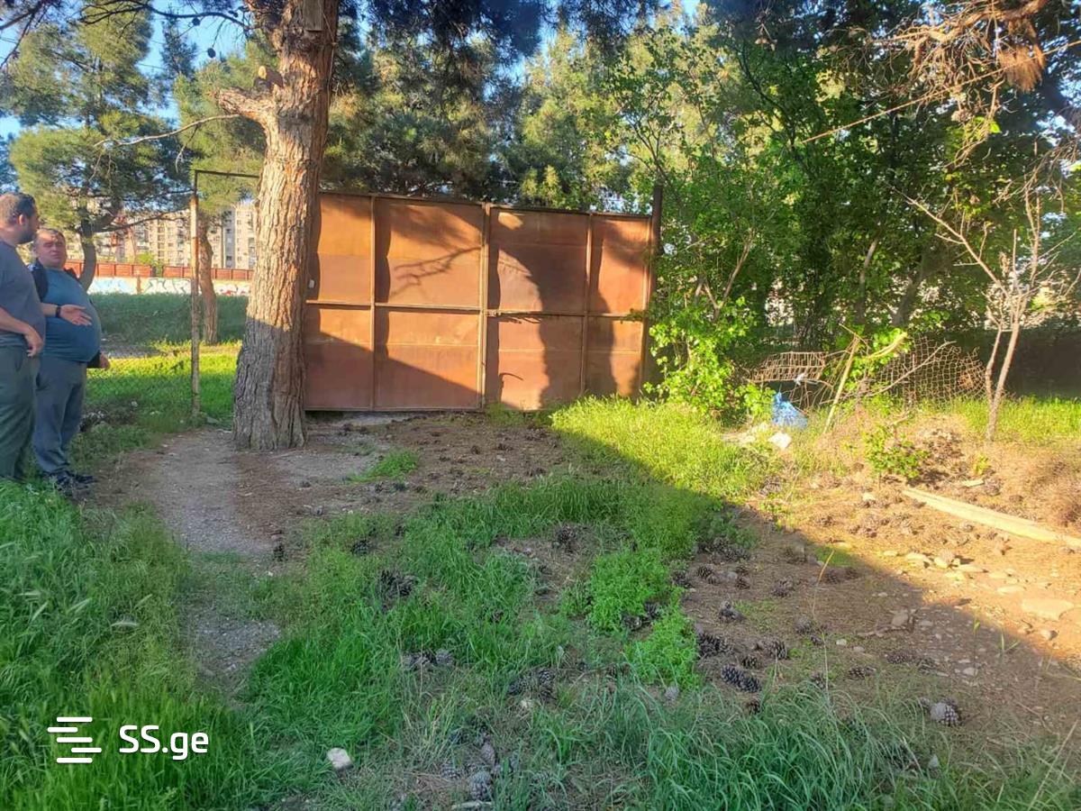 Land For Sale. Samgori view 6