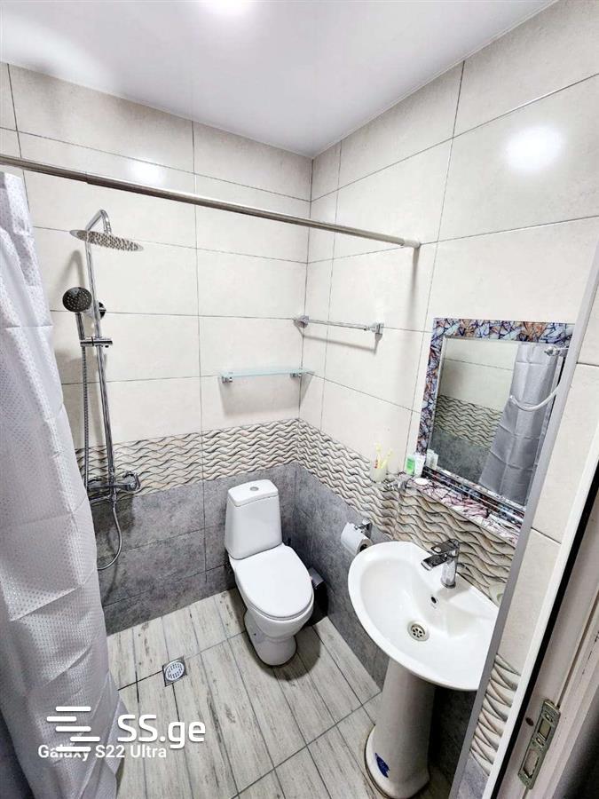 1 Room Flat Daily Rent. Samgori view 8