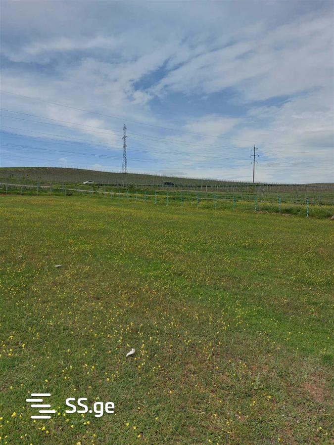 Land For Sale. Varketili, 2 of 4