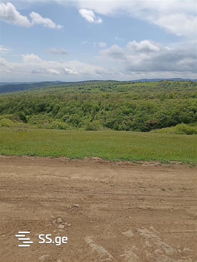 Продажа Земля в орбети view 3