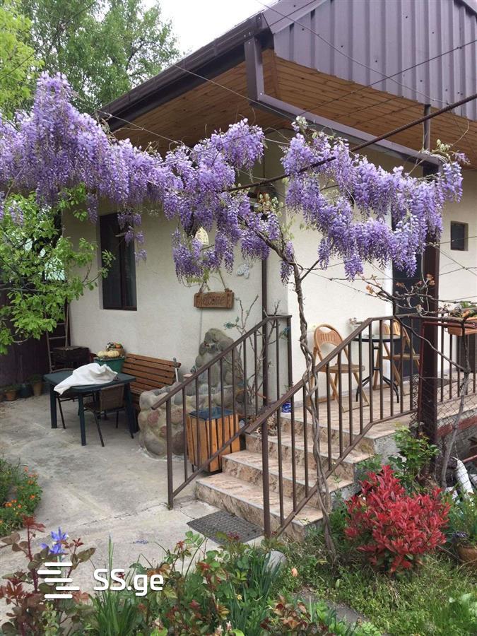 1 Room Flat Daily Rent. Mtskheta, 5 of 12
