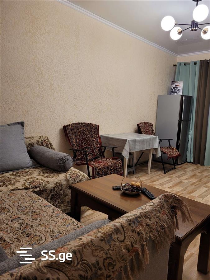 1 Room Flat Daily Rent. Telavi view 8