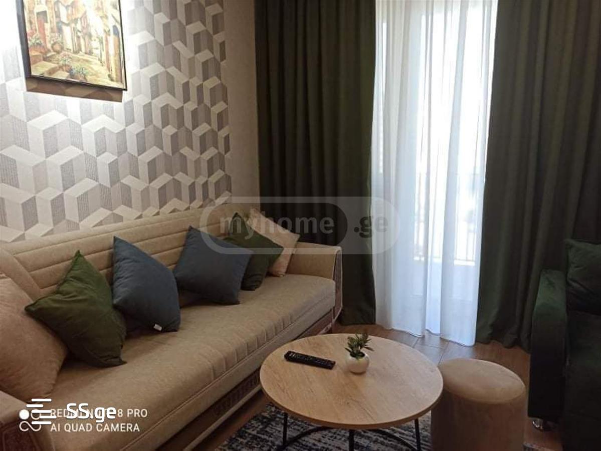 2 Room Flat Daily Rent. Varketili view 5