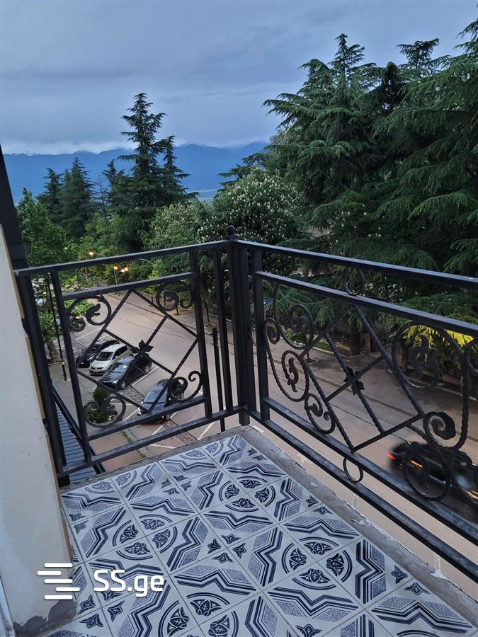1 Room Flat Daily Rent. Telavi, 4 of 4