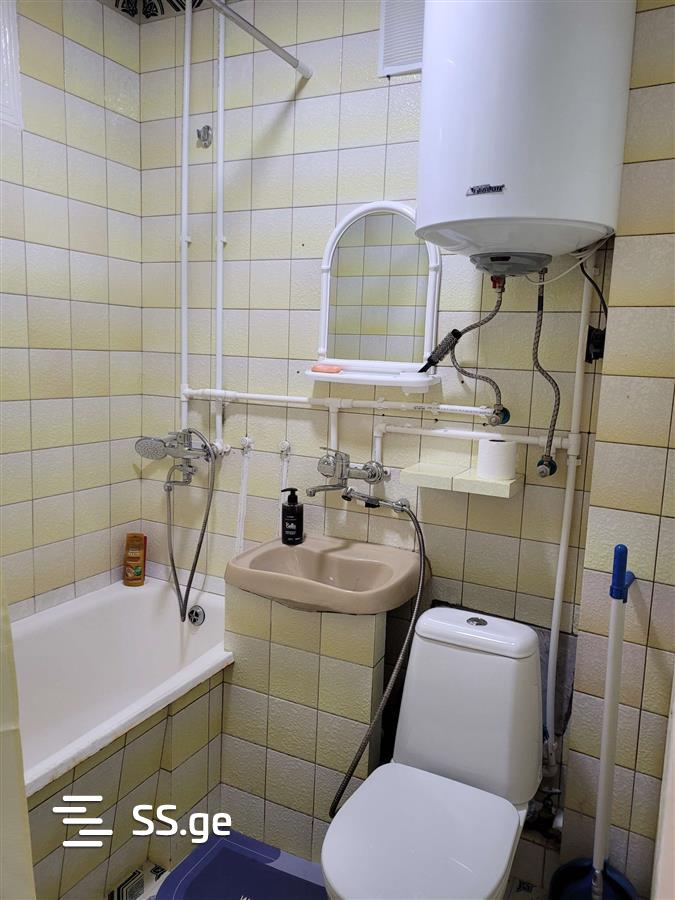1 Room Flat Daily Rent. Telavi view 9